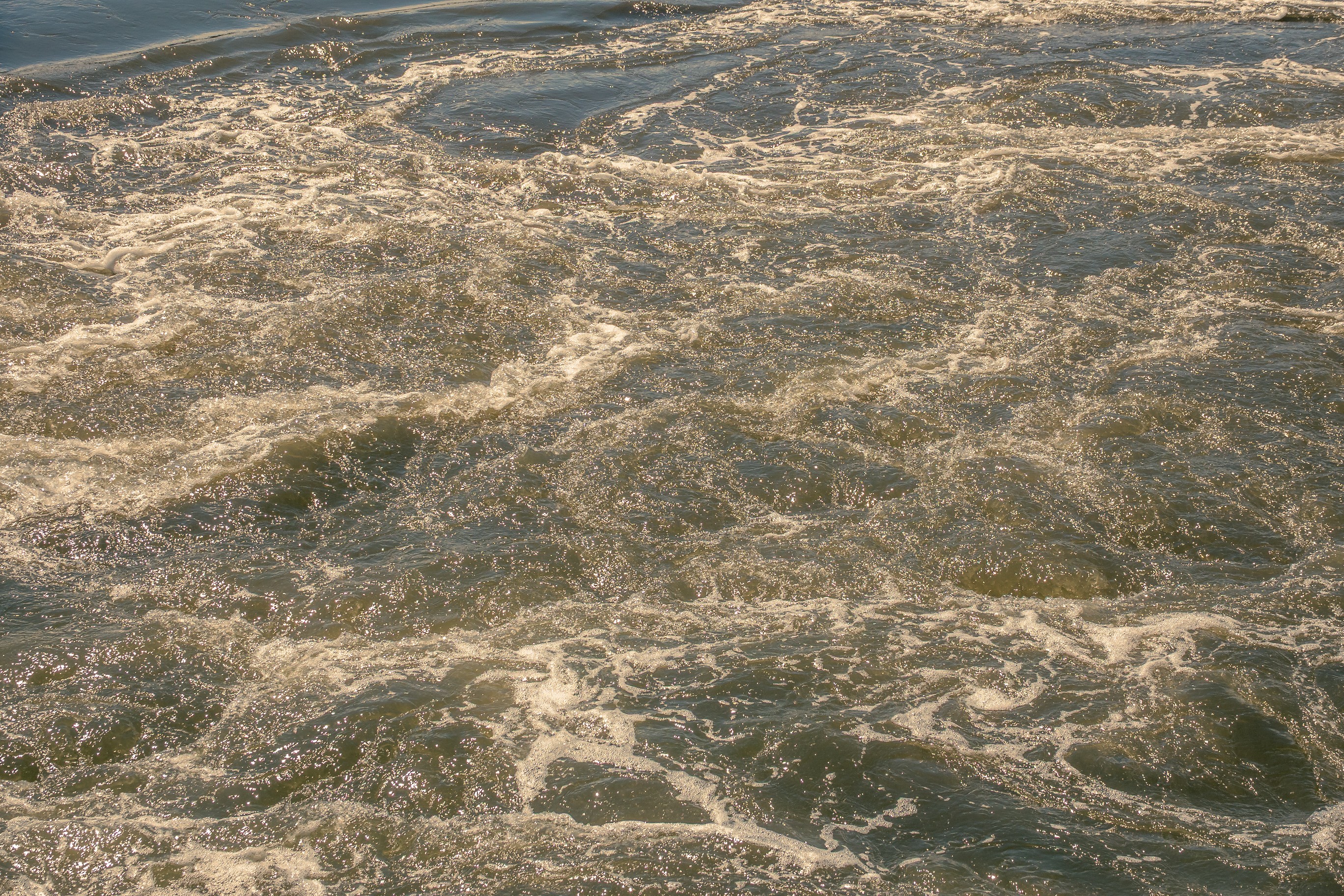 20250517   Maassluis Ahoi   021